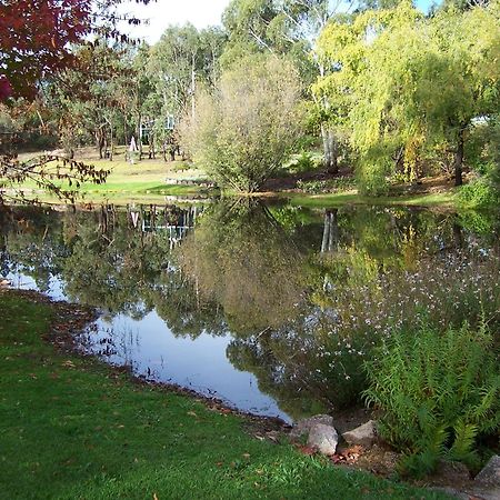 Granite Gardens Cottages & Lake Retreat Stanthorpe Esterno foto