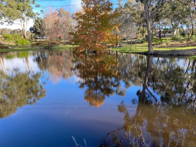 Granite Gardens Cottages & Lake Retreat Stanthorpe Esterno foto