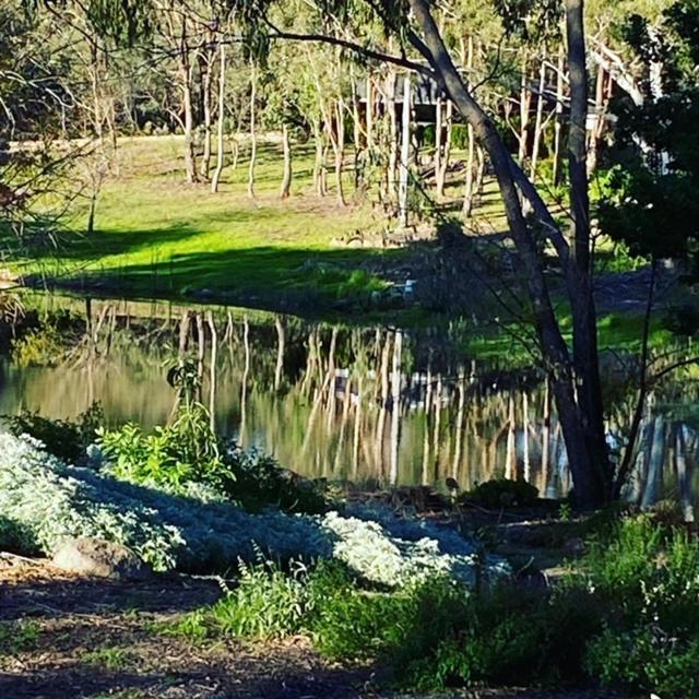 Granite Gardens Cottages & Lake Retreat Stanthorpe Esterno foto