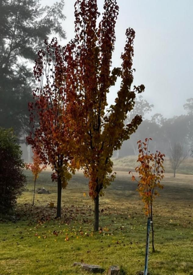 Granite Gardens Cottages & Lake Retreat Stanthorpe Esterno foto