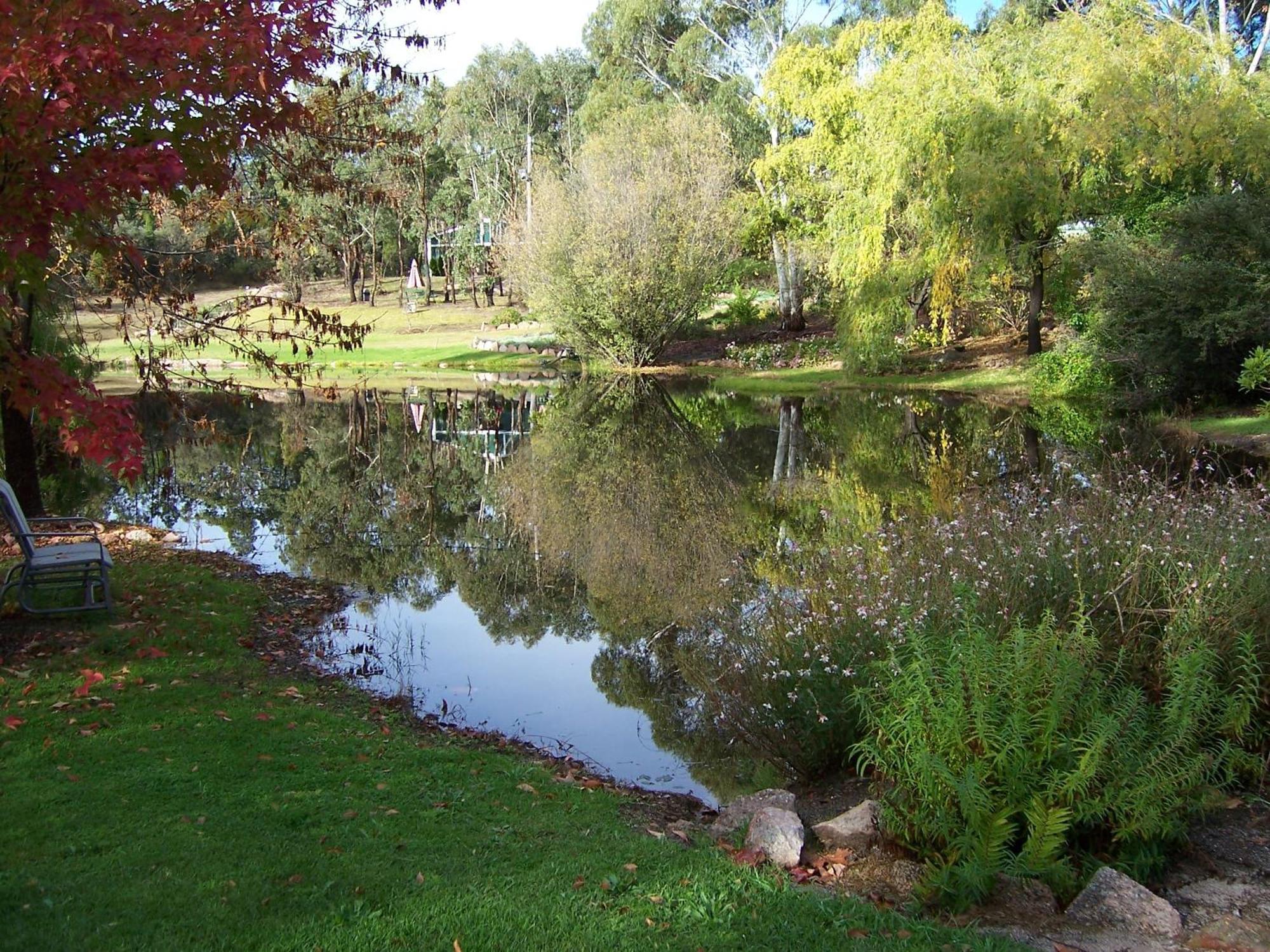 Granite Gardens Cottages & Lake Retreat Stanthorpe Esterno foto