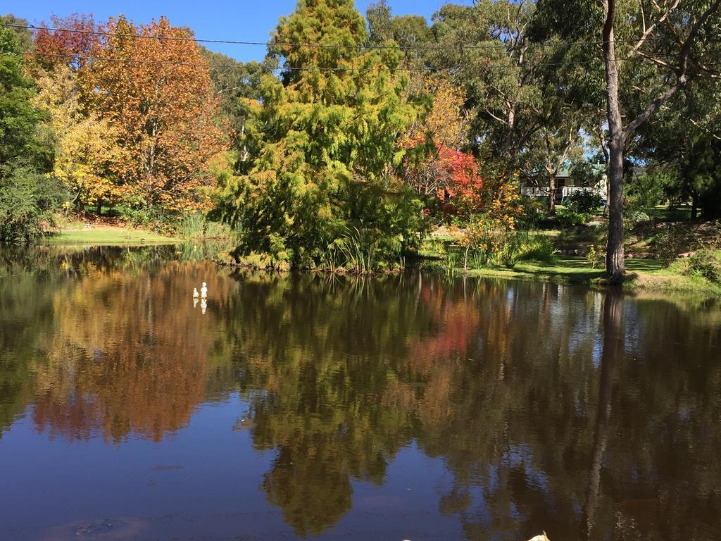 Granite Gardens Cottages & Lake Retreat Stanthorpe Esterno foto