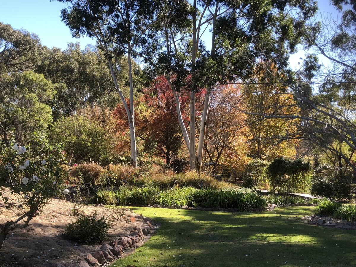 Granite Gardens Cottages & Lake Retreat Stanthorpe Esterno foto